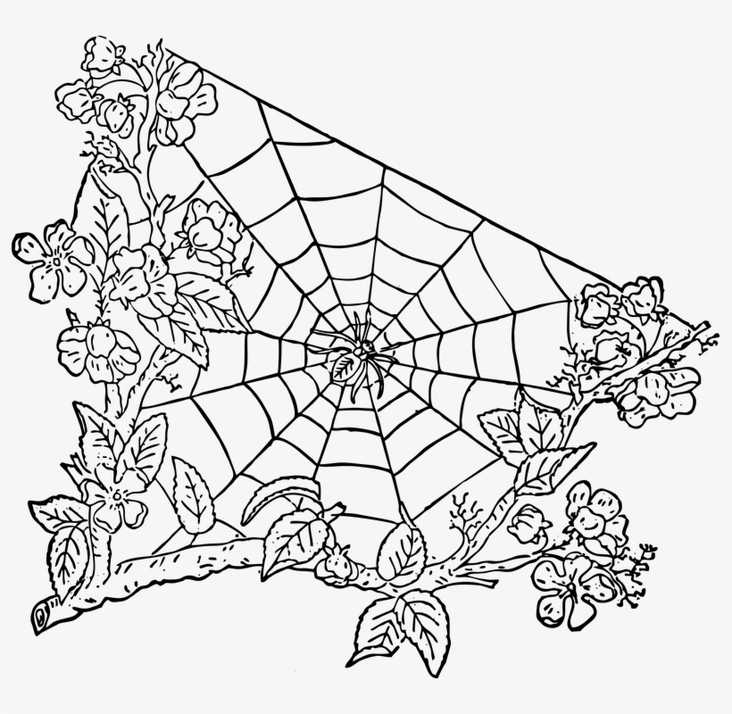 Halloween Spider Web Png Image With Transparent Background - Spider-man, transparent png