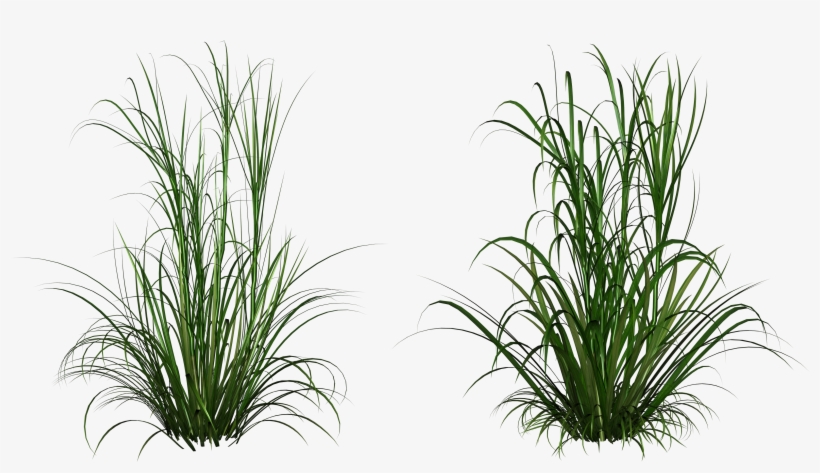 Clip Clip Art Transprent Png Free - Out Of Africa Mug, transparent png