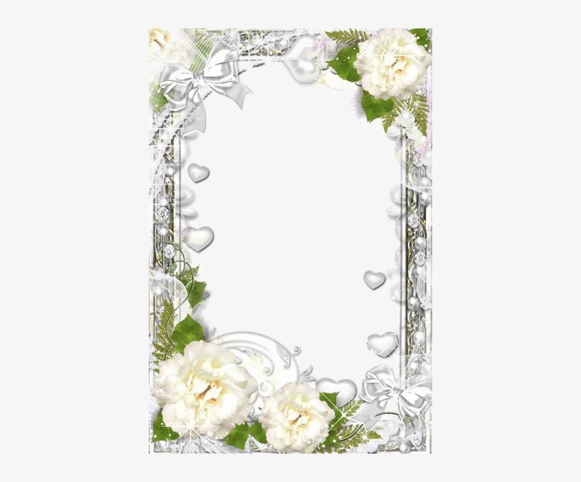 Image - Photograph, transparent png