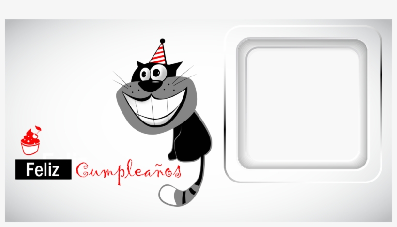 Birthday, transparent png