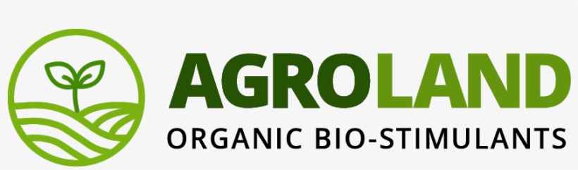 Fountain Grass - Graphics, transparent png