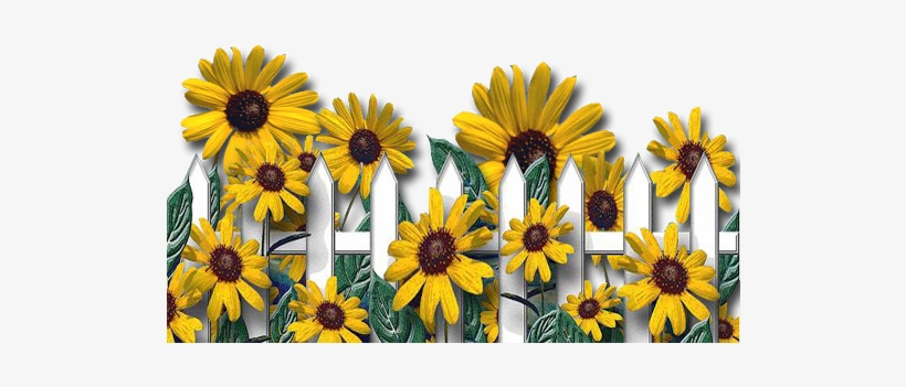 The Sunflower, Printable Paper, Flower Pots, Flowers, - Sunflower Happy Birthday Letter, transparent png