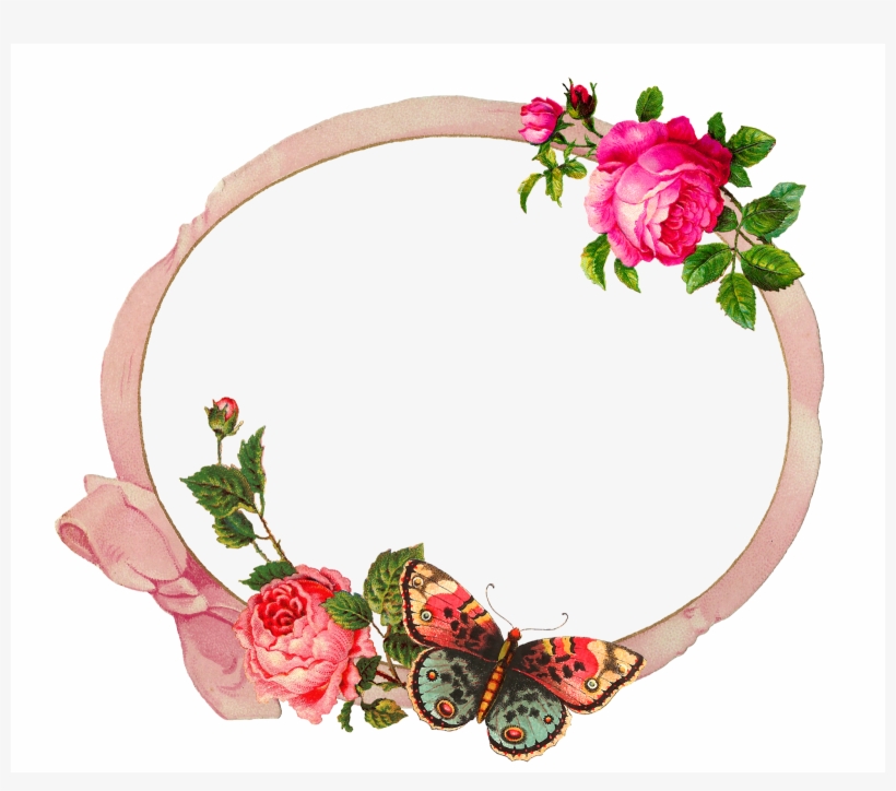 Digital Butterfly Rose Frame Download - Garden Roses, transparent png