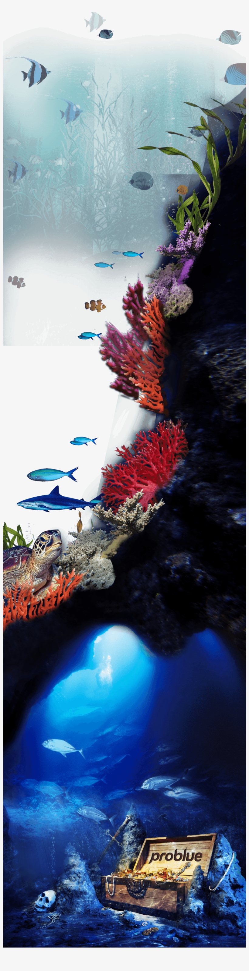 Underwater Treasure Full - Treasure Of Malaga Cove, transparent png