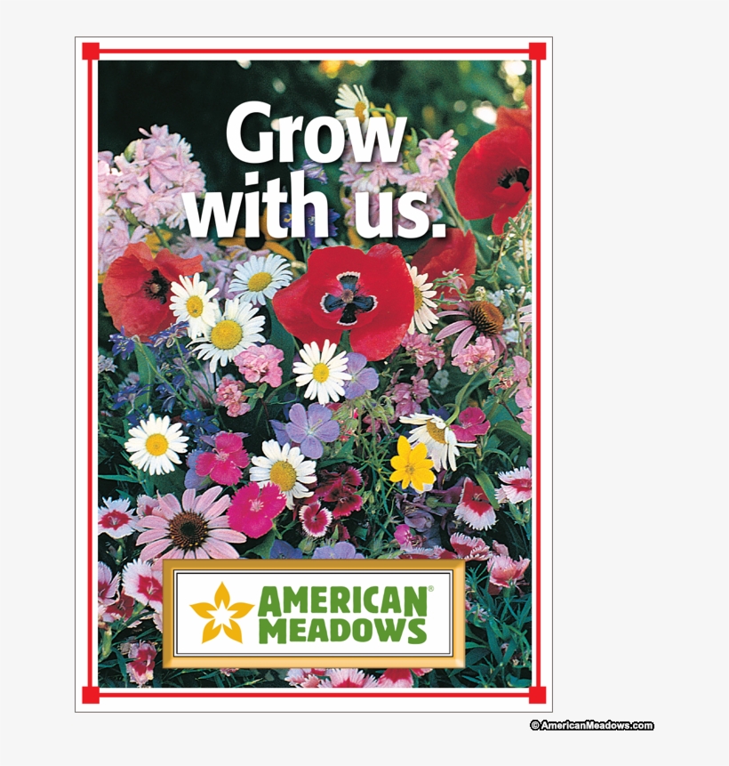Grow With Us Full Size Seed Packet - Wildflowers Shady Mix Seed, transparent png