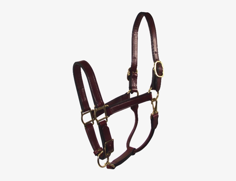 Leather Tack Products - Halter, transparent png