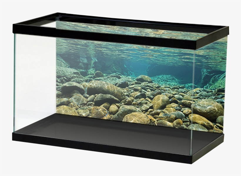 Aquariumvinyl Underwaterriverrocks, transparent png