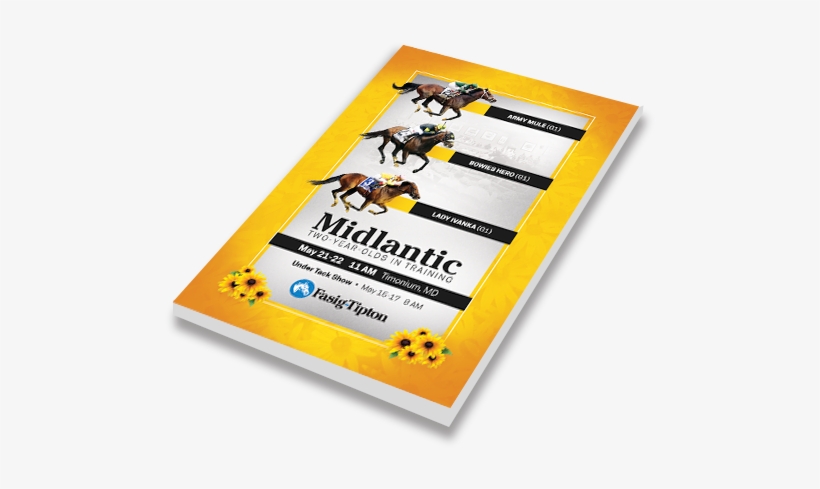 19 May - Graphic Design, transparent png