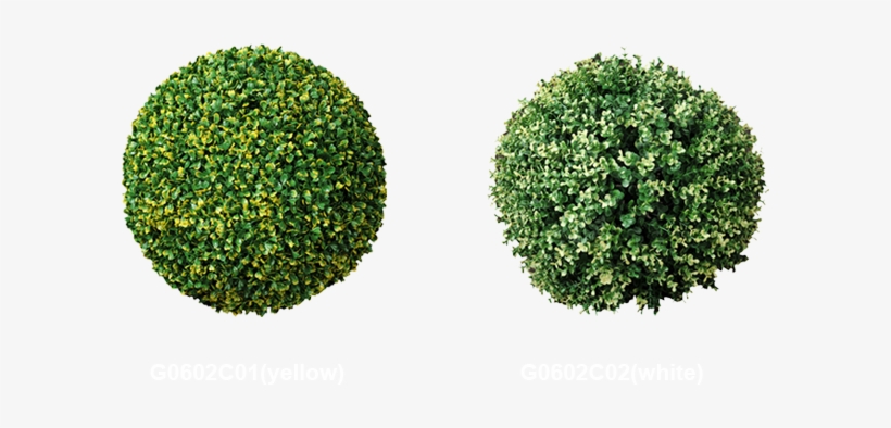 Topiary Trees Balls Factory - Ball Hedge, transparent png