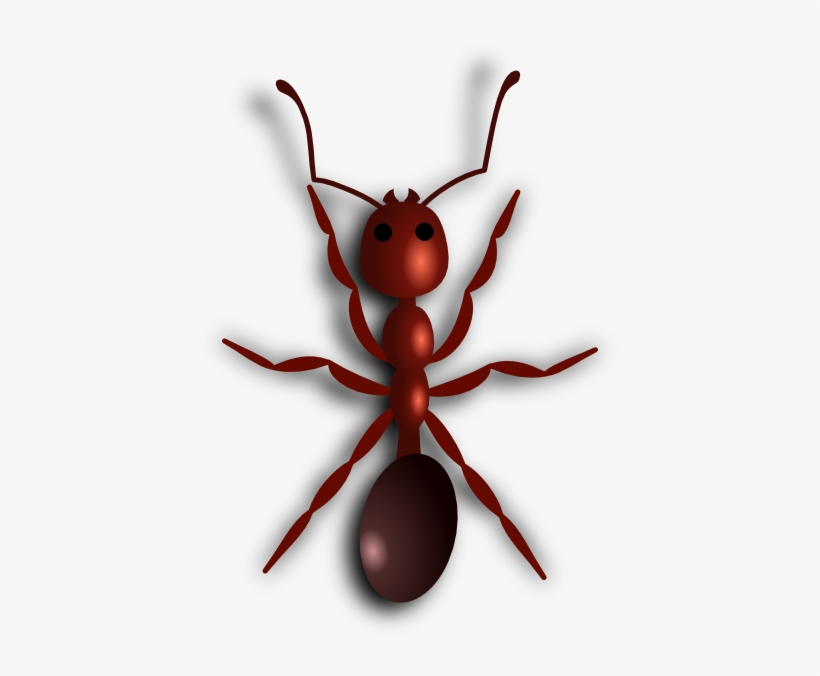 Ant Cartoon Png - Ant Clip Art, transparent png