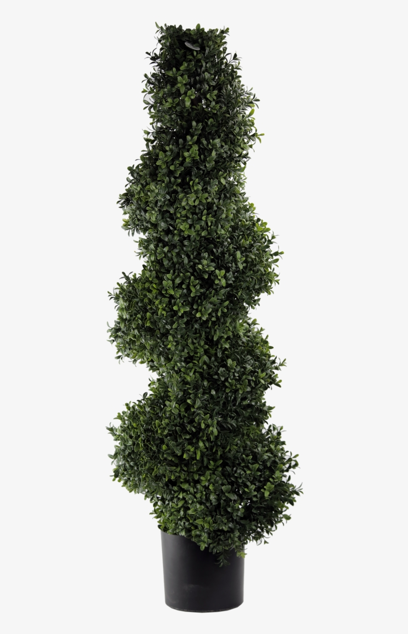 45" Artificial Deluxe Spiral Boxwood Topiary, transparent png