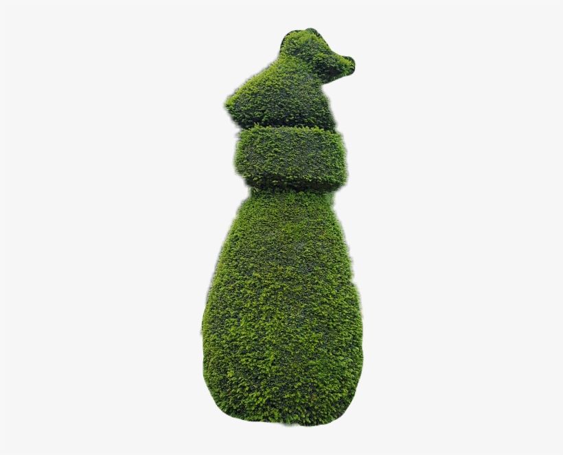 Arbre Freetoedit - Tree, transparent png