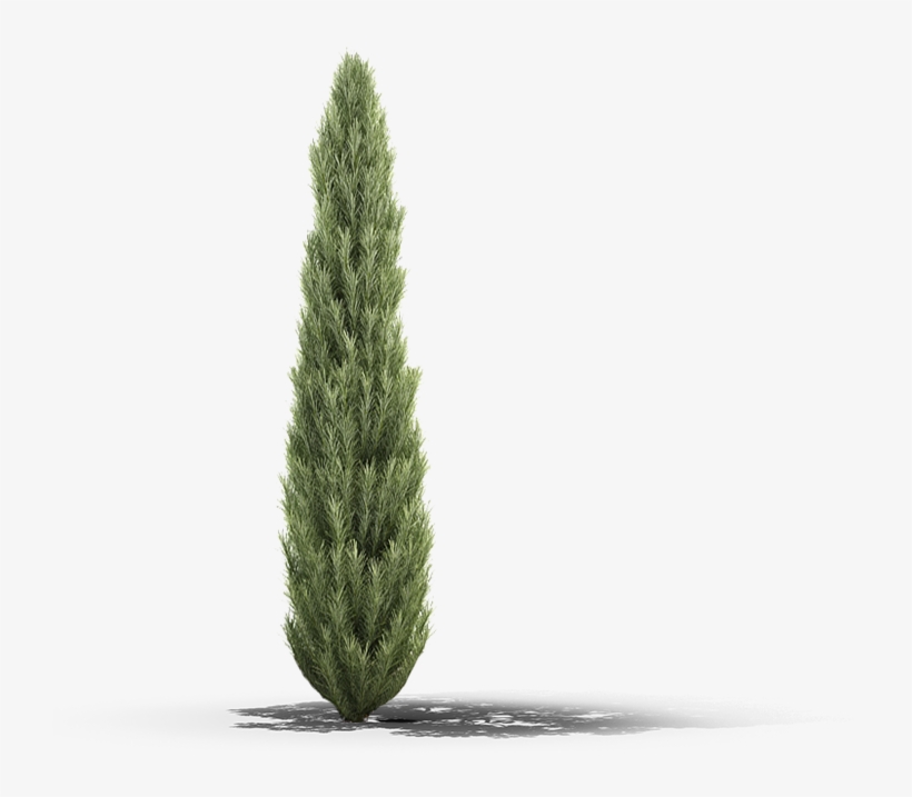 Product Item - 3d Modeling, transparent png
