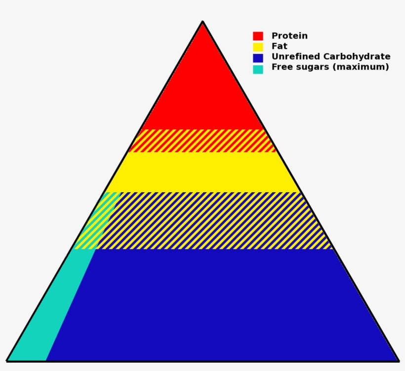 File Food Pyramid Of Biomolecules 1200x1200 PNG Download PNGkit