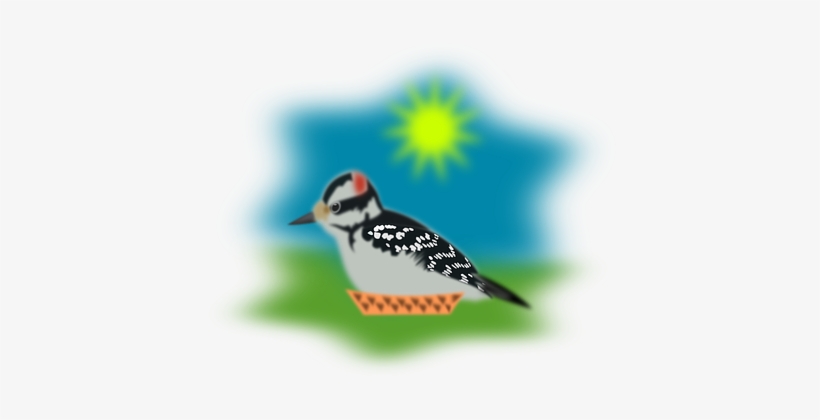 Sparrow, Pecker, Woodpecker, Bird - Woodpecker, transparent png