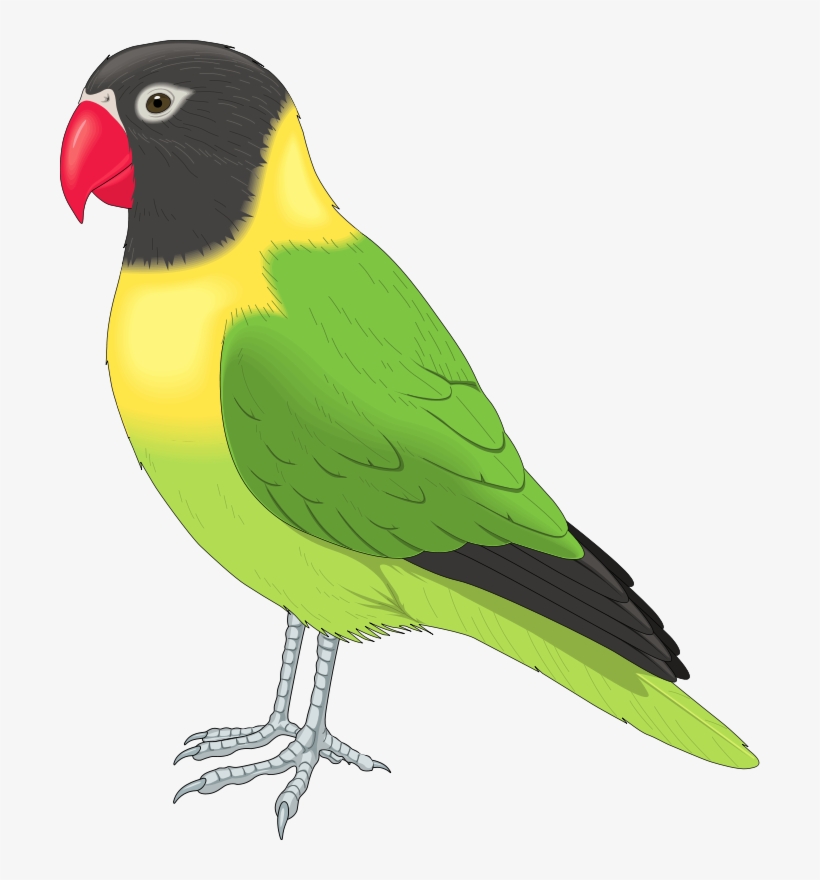 Free Clip Art Animals - Pet Bird Clipart, transparent png