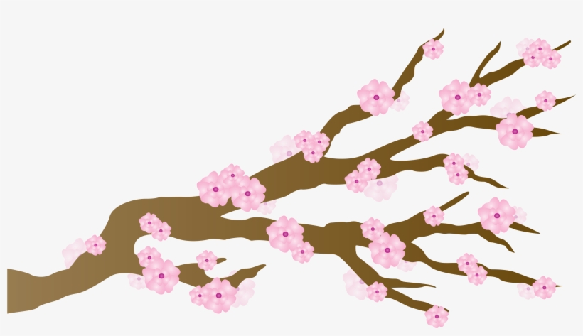 Pink Cherry Blossoms Japanese Draft Free Image Clipart - Cherry Blossom, transparent png