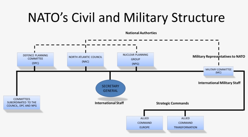 2b - Moulsham Junior School, transparent png