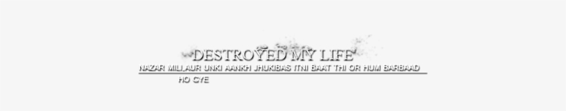 1%2b%25281%2529 - - If You Don T Like My Principles, transparent png