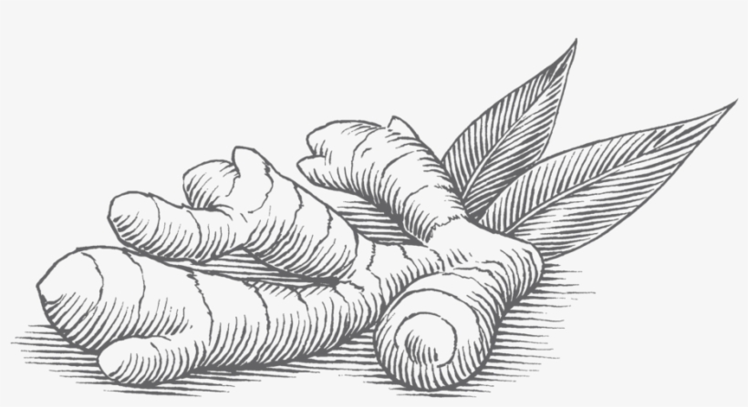 Ginger & Turmeric - Food, transparent png