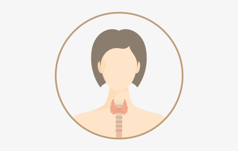 Thyroid Check Plus, transparent png