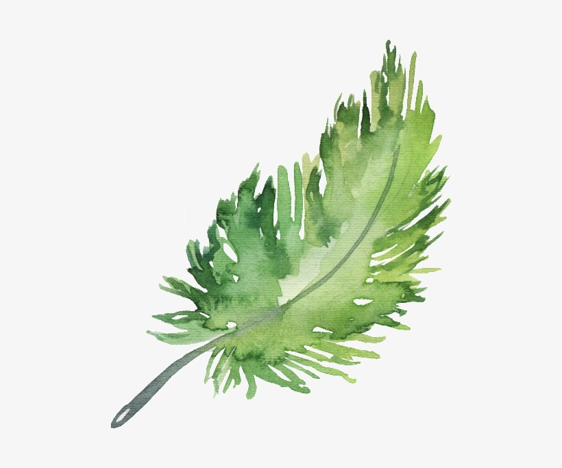 Png Element Material For Hand Painted Green Leaves - Feather, transparent png