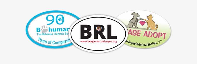 Oval Magnets - Label, transparent png