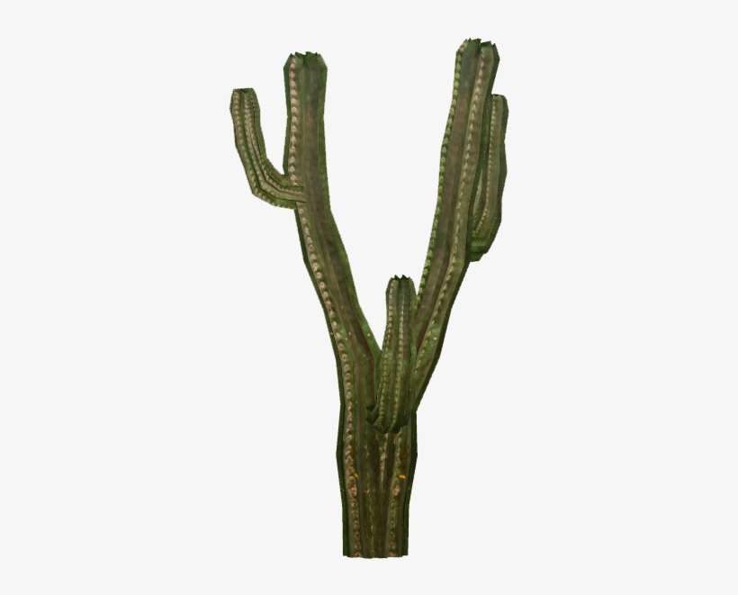 Cactus 4 - Hedgehog Cactus, transparent png