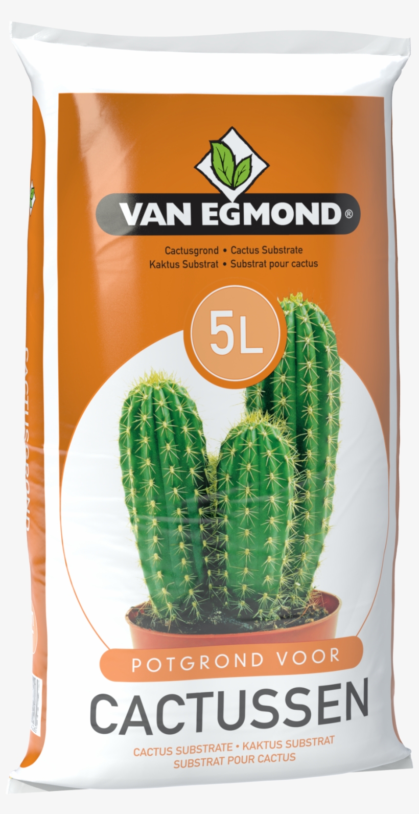 Interested - Prickly Pear, transparent png