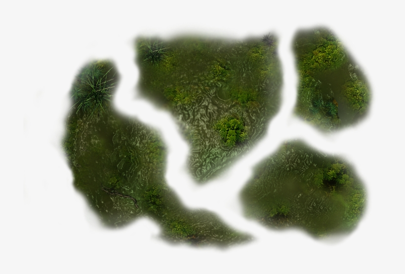 37 635k Swamp 6 Sc Dgw 06 Feb 2009 - Chlorophyta, transparent png