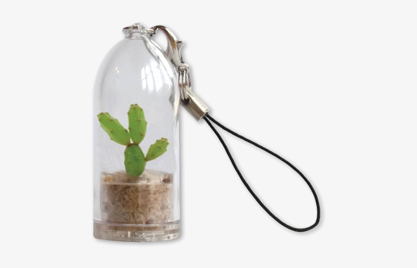 Cactus Keyrings Eco-friendly Sustainable Promo Products - Feel Green Plantochi - Spike, transparent png
