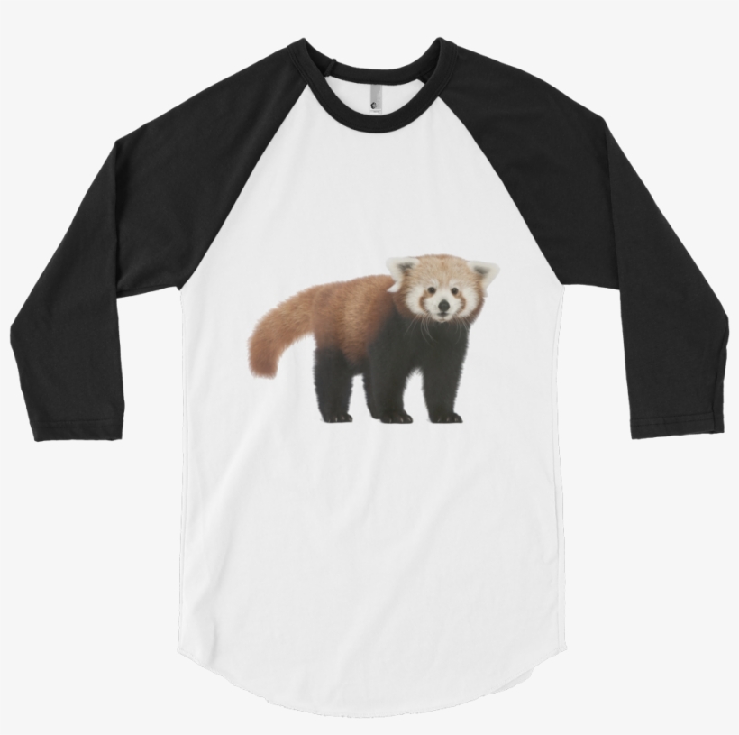Red-panda Print 3/4 Sleeve Raglan Shirt - Funny Pictures For T Shirts, transparent png
