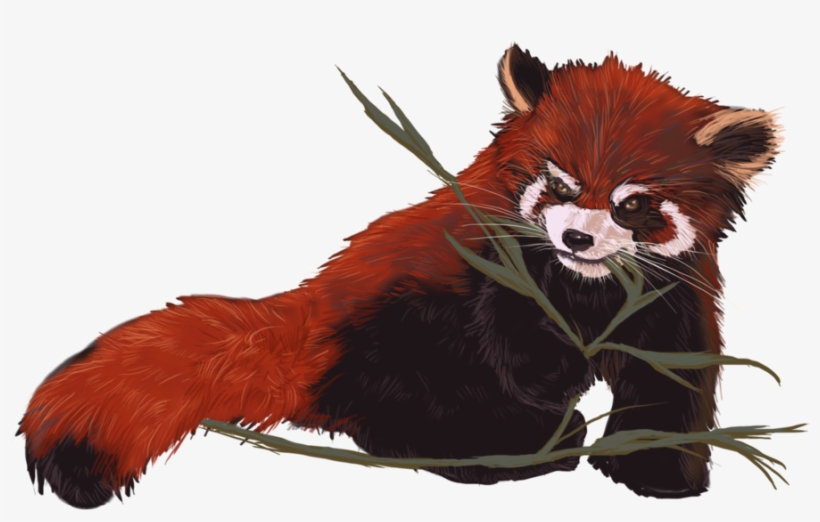 Red Panda Love Tank Top - Love Mousepad, transparent png