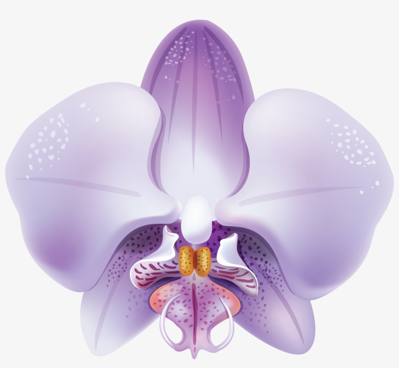 Violet Orchid Png - Orchid Clipart, transparent png