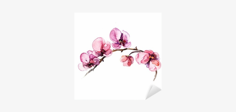The Watercolor Flowers Orchid Isolated On The White - Seasons Of Hope And Encouragement: A Devotional [book], transparent png
