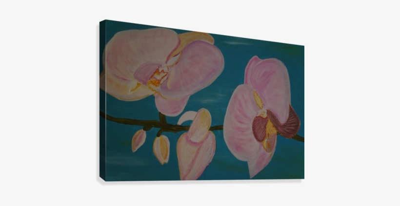 Orchid Canvas Print - Phalaenopsis Sanderiana, transparent png