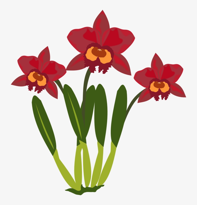 Dendrobium Orchid Clip Art Bkmn - Flower Orchid Clipart, transparent png