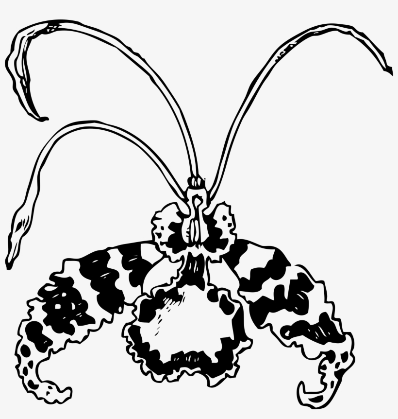 This Free Icons Png Design Of Butterfly Orchid, transparent png
