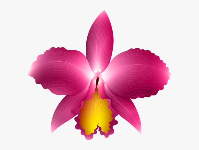 Pink Orchid Transparent Png Clip Art Image - Orchid Clip Art, transparent png