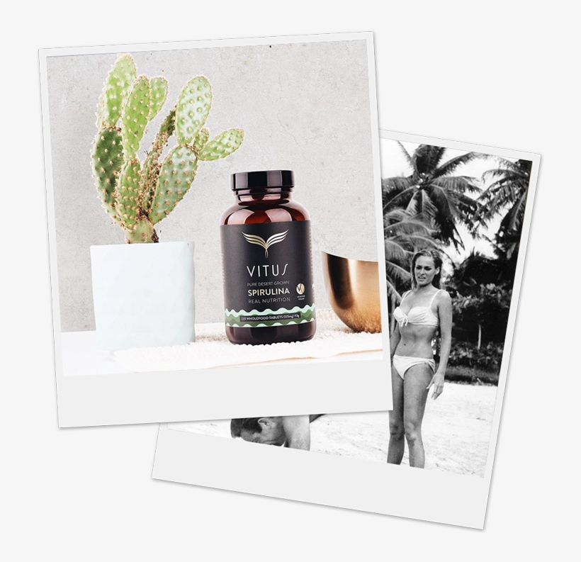 Poloro#nutrition-retro - Celebrities Photo - Sean Connery (james Bond) &, transparent png