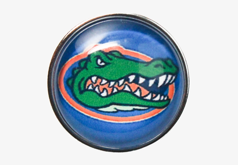 Gator License Plates, transparent png