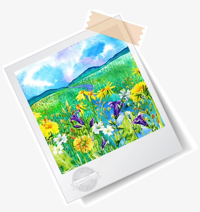 Вы Хотите Хотя Бы Одним Глазком Взглянуть На Производство - Tea, transparent png