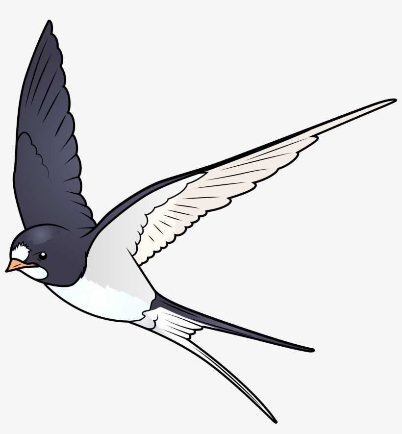Cartoon Bird Png, transparent png