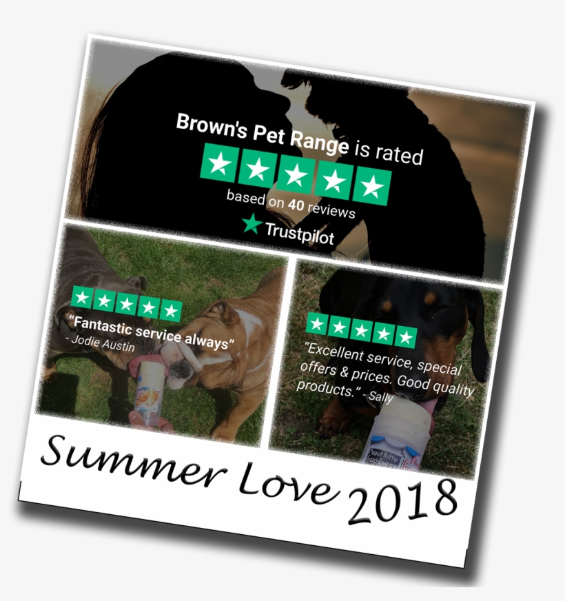 Come Back Spring - Flyer, transparent png