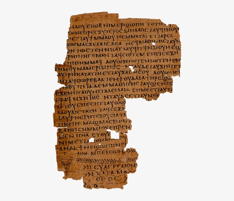 Near Shallow Lakes And Rivers Grew A Tall Reed Called - Ancient Egypt Papyrus Png, transparent png