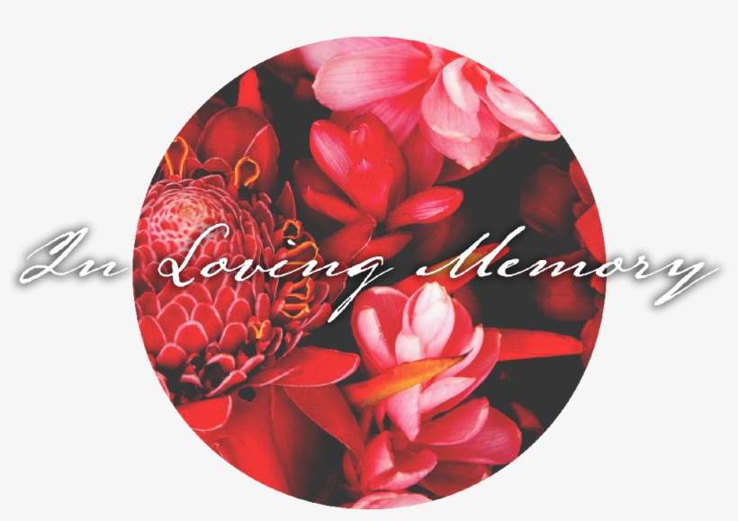 Mfc In Loving Memory Of - Artificial Flower, transparent png