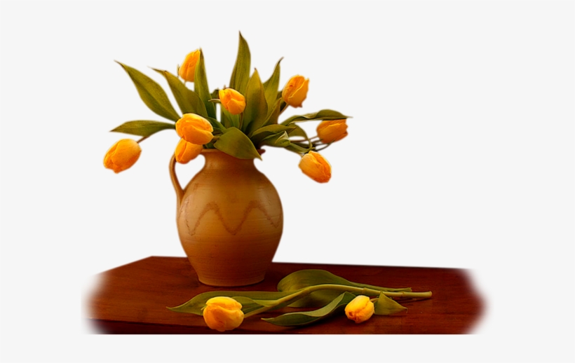 Visit - Still Life Photography, transparent png