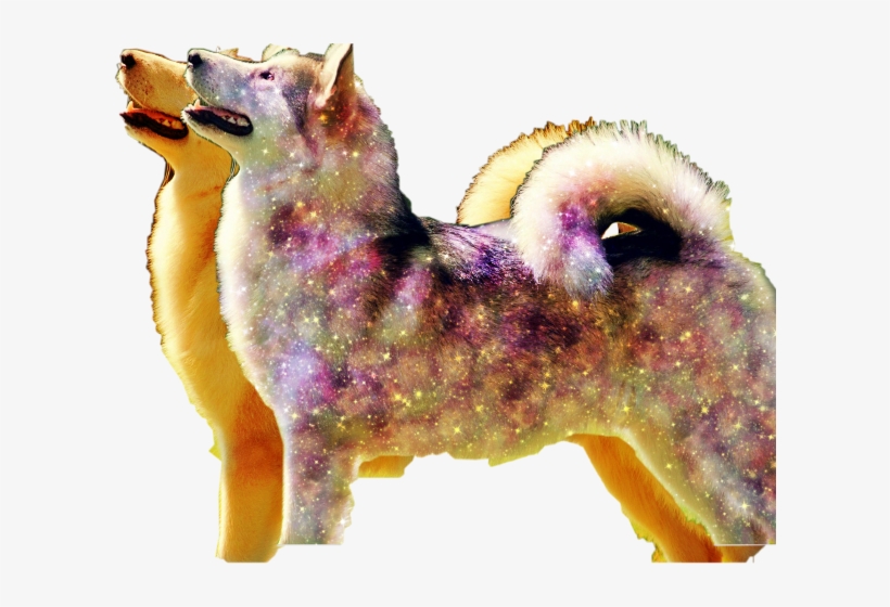 Mane, transparent png