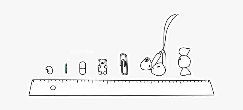 Your Pet's Permanent Id What Is A Microchip, transparent png