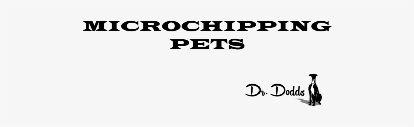 The Debates Swirling Around Microchipping Of Animals - Cathedral Of Syracuse, transparent png